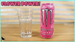 Monster Ultra Rosa Energy Drink Review! | Birdew Reviews