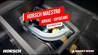 AirVac   Soybeans with Horsch Maestro