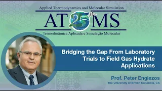 Bridging the gap from laboratory trials to field gas hydrate applications