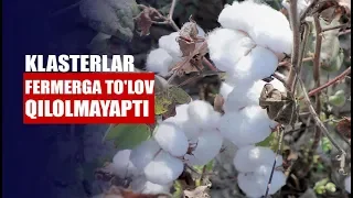 Vazir o'rinbosari fermerga to'lov qilolmayotgan klasterlar haqida gapirdi