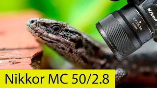 Nikkor Z MC 50/2.8 S. Макро-кит для Nikon Z