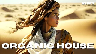 Cafe De Anatolia ETHNO WORLD - Organic House ▪ Orgánica ▪ Dunes ▪ Dubai ▪ Arabia (2023 DJ Mix)