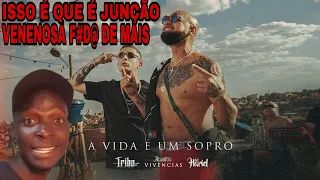 Gringo Reagindo: A Vida é Um Sopro - Tribo da Periferia ft. @MC Hariel (Acústico Vivências)