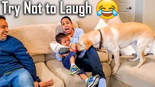 My Friends Who are Scared of a Dog Meets Buddy for the First Time | Too Funny 😂