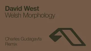 David West - Welsh Morphology (Charles Gudagavfa Remix) [2008]