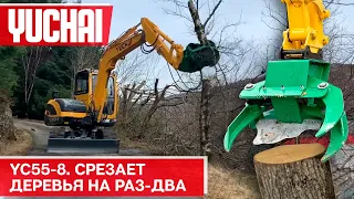 Экскаватор Yuchai 55-8 с обрезчиком деревьев