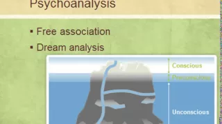 Ch 14 Insight Therapies part 1