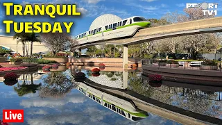 🔴Live: Tranquil Tuesday at Epcot - Relaxing Disney Evening - Walt Disney World - 3-26-24