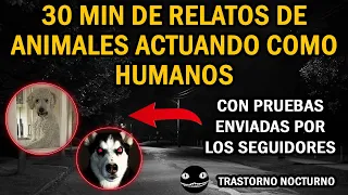 30 MINUTOS DE RELATOS DE ANIMALES ACTUANDO COMO HUMANOS | TRASTORNO NOCTURNO