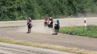 31.07.2021г Приз МСХ и продовольствия РХ верховых пород 3-х лет и старше 1600м