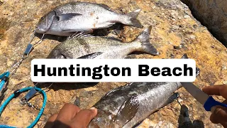 #fishing #Huntington Beach ￼