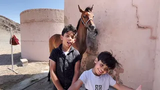 فتح سعد الخيال الصغير مااشاء الله😍🐎👏🏻| Opening the little imagination on the horse.
