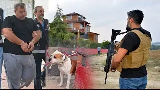 Adana'da Villasında 5 Pitbulla Korunan Baron!