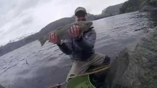 Maifiske i Saudafjorden etter sjøørret - Mayfishing in Saudafjorden for seatrout