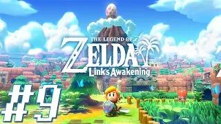 The Legend of Zelda: Link's Awakening [BLIND STREAM/PLAYTHROUGH/SWITCH GAMEPLAY] - Part 9