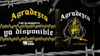 Agradezco - (Audio Oficial) - T3R Elemento - DEL Records 2021