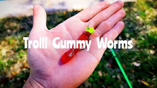 | Fishing for Largemouth Bass With Trolli Gummy Candy Worms! | Ned Rig