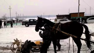 Начало соревнований.