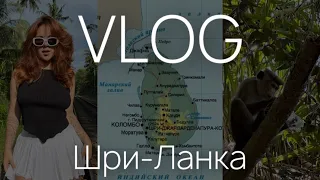 VLOG| Шри-Ланка | 3 недели на острове | семейный отдых