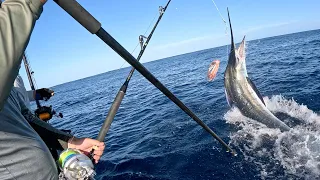 Two marlin on his first day!