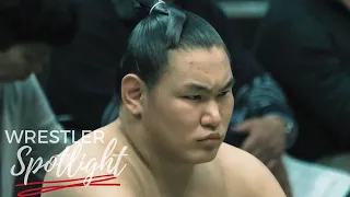 Hoshoryu & Great Sumo Legacies | Sumo Wrestler Spotlight | Ep. 2