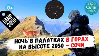 Палаточный лагерь в горах Сочи ➤Camp 2050 ➤подъемник Горки Город ➤лиса ➤Красная поляна🔵Просочились