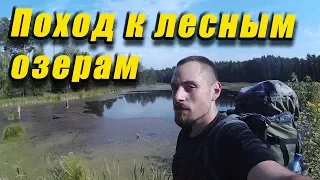 Одиночный поход к лесным озерам. Ночной переход по лесу. Пора в поход