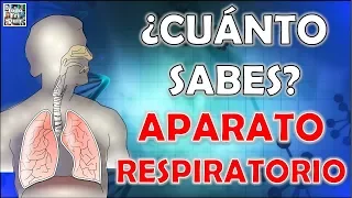 ¿Cuánto Sabes Sobre el "APARATO RESPIRATORIO"? Test/Trivial/Quiz