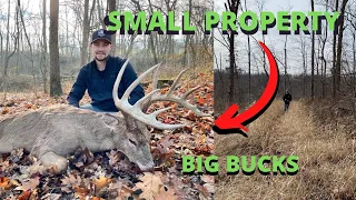 How to kill big bucks on small properties! (3-17 acres)