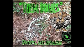 Them Bones, Evart, MI 9/14/22