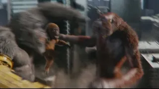 Kong beats the shit out of skar king