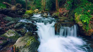 Relaxing Music with Nature Sounds | مناظر الطبيعة الخلابة مع موسيقى هادئة للتامل والاسترخاء