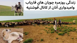 یک روز زندگی چوپانی در دشتهای سرسبزبهاری فاریاب، سگهای چوپانی Shepherd Life in Afghanistan