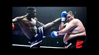 Top Knockouts  Remy  The Flying Gentleman  Bonjasky, HD