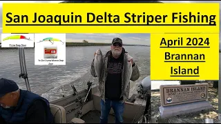 Brannan Island - Rio Vista - Striper Fishing - San Joaquin - April 2024