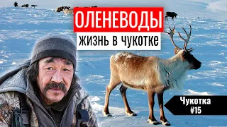 КАК ЖИВУТ ОЛЕНЕВОДЫ НА ЧУКОТКЕ. ПОГИБАЮЩИЕ ХОЗЯЙСТВА НА КРАЙНЕМ СЕВЕРЕ. ЧУКОТКА #15