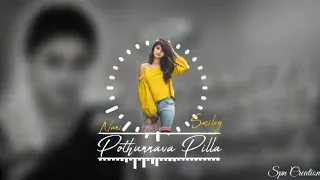 Pothunava pilla pothunava dj song