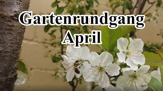 Garten Rundgang April | Gemüse im Hochbeet  | Knoblauch Zwiebeln | Gartenarbeit im Frühling