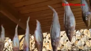 Вяленая рыба