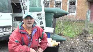 Вихід мяса і сала   9 місяців порося