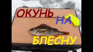 Окунь на БЛЕСНУ...