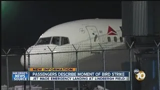 Passengers describe moments after bird strike: Flight made emergency landing at Lindbergh Field