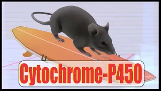 Cytochrome-P450 Interactions (Mnemonic)