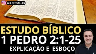 ESTUDO BÍBLICO 1 PEDRO 2:1-25 ( EXPLICAÇÃO E ESBOÇO)