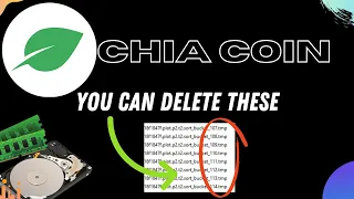 Chia Coin Mining Temp Drive. Free Up Space on Your SSD ( What are TMP files in Chia XCH Farming )
