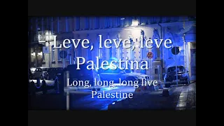 "Leve Palestina, krossa sionismen" - Swedish Anti-Zionist Song