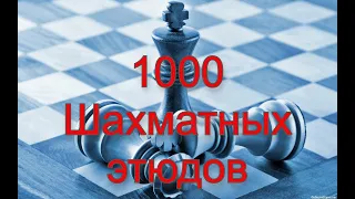 Красивые шахматные этюды Интересная композиция