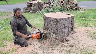 STIHL #stihl CHAINSAW Cutting