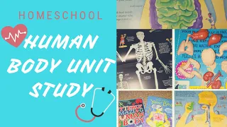 HOMESCHOOL HUMAN BODY UNIT STUDY||FIRST GRADE SCIENCE UNIT STUDY||HOW I BUILD UNIT STUDIES!!