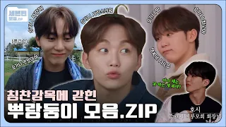 [세븐틴 모음.zip] 칭찬감옥에 갇힌 뿌랑둥이 모음집 | 승관 부승관